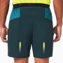 Pantaloni scurți pentru bărbați Oakley  Performance RC  Short