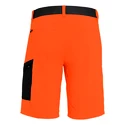 Pantaloni scurți pentru bărbați Salewa  Pedroc Cargo 2 Dst Red Orange