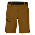 Pantaloni scurți pentru bărbați Salewa  Puez 3 DST M Shorts Golden Brown L