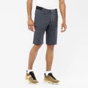 Pantaloni scurți pentru bărbați Salomon  Wayfarer Shorts Ebony