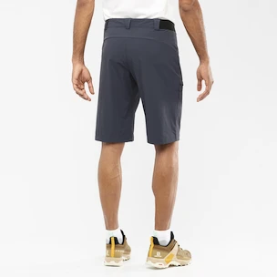 Pantaloni scurți pentru bărbați Salomon  Wayfarer Shorts Ebony 48