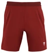 Pantaloni scurți pentru bărbați Tecnifibre  Club Short Cardinal