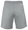 Pantaloni scurți pentru bărbați Tecnifibre  Club Short Silver