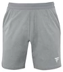 Pantaloni scurți pentru bărbați Tecnifibre  Club Short Silver