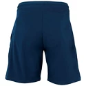 Pantaloni scurți pentru bărbați Tecnifibre  Stretch Blue