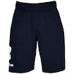 Pantaloni scurți pentru bărbați Under Armour  COTTON BIG LOGO SHORTS blue