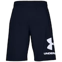 Pantaloni scurți pentru bărbați Under Armour  COTTON BIG LOGO SHORTS blue