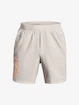 Pantaloni scurți pentru bărbați Under Armour  Launch SW 7'' WM Short-GRY