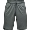 Pantaloni scurți pentru bărbați Under Armour  Lighter Longer Short S