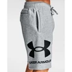 Pantaloni scurți pentru bărbați Under Armour  Rival FLC Big Logo Shorts gray