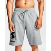 Pantaloni scurți pentru bărbați Under Armour  Rival FLC Big Logo Shorts gray