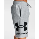 Pantaloni scurți pentru bărbați Under Armour  Rival FLC Big Logo Shorts gray