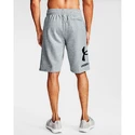 Pantaloni scurți pentru bărbați Under Armour  Rival FLC Big Logo Shorts gray