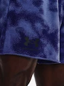 Pantaloni scurți pentru bărbați Under Armour  Rival Terry 6in Short-BLU