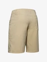 Pantaloni scurți pentru bărbați Under Armour  Storm Fish Hunter Storm Short-BRN