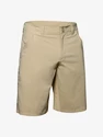 Pantaloni scurți pentru bărbați Under Armour  Storm Fish Hunter Storm Short-BRN