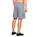 Pantaloni scurți pentru bărbați Under Armour  Tech Graphic Short Grey