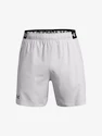 Pantaloni scurți pentru bărbați Under Armour  Vanish Woven 6in Shorts-GRY