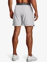 Pantaloni scurți pentru bărbați Under Armour  Vanish Woven 6in Shorts-GRY