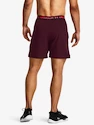 Pantaloni scurți pentru bărbați Under Armour  Vanish Woven 6in Shorts-MRN