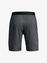 Pantaloni scurți pentru bărbați Under Armour  Vanish Woven 8in Shorts-GRY