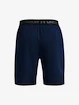 Pantaloni scurți pentru bărbați Under Armour  Vanish Woven 8in Shorts-NVY