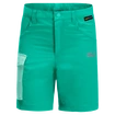 Pantaloni scurți pentru copii Jack Wolfskin  Active Shorts Deep Mint