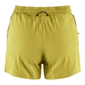 Pantaloni scurți pentru femei Klättermusen  Laufey Shorts Meadow Green