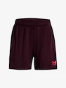 Pantaloni scurți pentru femei Under Armour  W's Ch. Knit Short-MRN