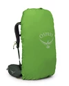 Rucsac OSPREY  Kestrel 38 Bonsai Green L/XL