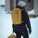 Rucsac Thule  Backpack 26L - Golden