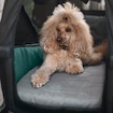 Saltea pentru căruciorul de transport pentru biciclete Thule Bexey Dog Bed L