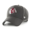 Șapcă pentru bărbați 47 Brand  NHL Chicago Blackhawks Metallic Snap '47 MVP