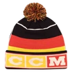 Șepci de iarnă CCM  FLAG POM KNIT TEAM GERMANY Multiple Team Color