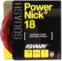 Tricot de quash Ashaway  PowerNick 18 Zyex Red 1,15 mm