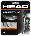 Tricot de tenis Head  Velocity (12 m)