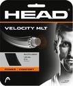 Tricot de tenis Head  Velocity (12 m)