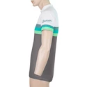 Tricou de ciclism pentru bărbați Sensor  Cyklo Summer Stripe Grey/Green