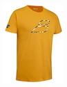 Tricou pentru bărbați Babolat  Exercise Big Flag Tee Men Autumn Glory