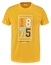 Tricou pentru bărbați Babolat Exercise Vintage Tee Men Saffron Heather