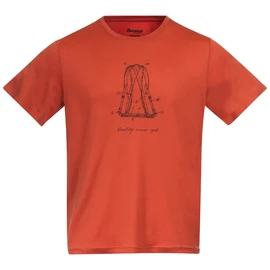 Tricou pentru bărbați Bergans Graphic Wool Brick