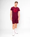 Tricou pentru bărbați BIDI BADU  Protected Leafs Chill Tee Bordeaux