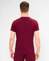 Tricou pentru bărbați BIDI BADU  Protected Leafs Chill Tee Bordeaux