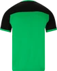 Tricou pentru bărbați FZ Forza  Alberti M S/S Tee Perfect Green