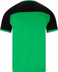 Tricou pentru bărbați FZ Forza  Alberti M S/S Tee Perfect Green XL