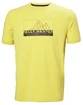 Tricou pentru bărbați Helly Hansen  Skog Recycled Graphic T-Shirt Endive