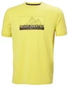 Tricou pentru bărbați Helly Hansen  Skog Recycled Graphic T-Shirt Endive