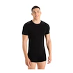 Tricou pentru bărbați Icebreaker Merino Anatomica SS Crewe Black