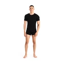 Tricou pentru bărbați Icebreaker Merino Anatomica SS Crewe Black