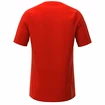 Tricou pentru bărbați Inov-8  Base Elite SS Red